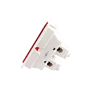 1000062477.webp