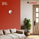 61RjNcHU7jL._SX679_.webp