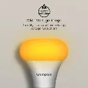 colormaticpl02_1_1.webp