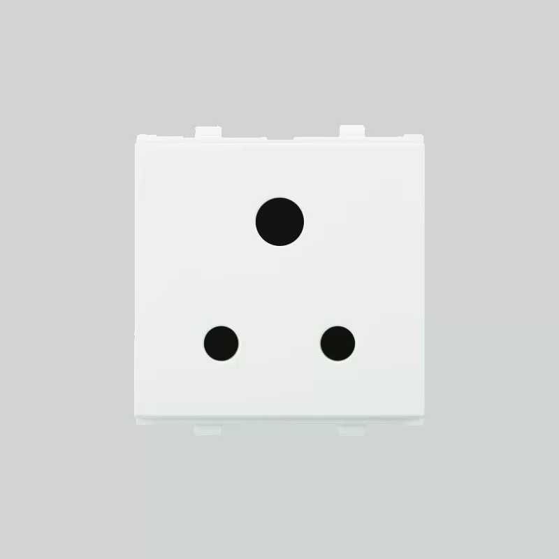 1000060956.webp