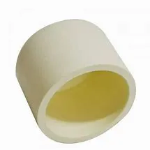 cpvc End cap (1)